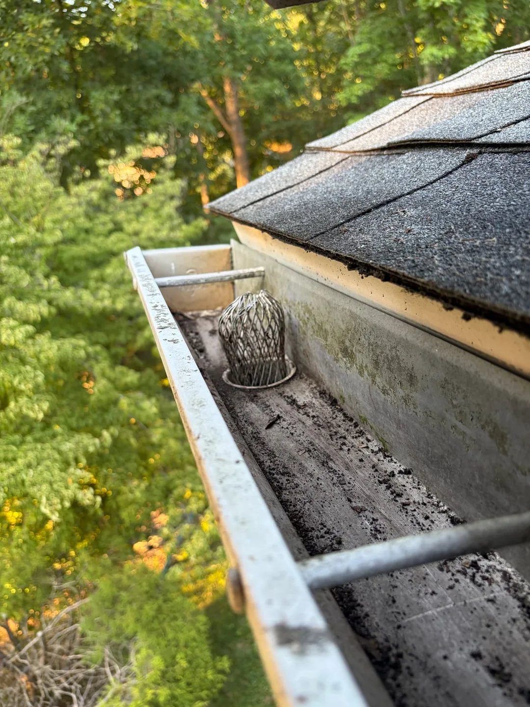 Close-up inspection of a residential gutter and downspout screen